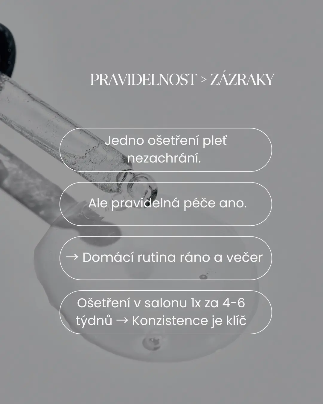 Portfolio ukázka 12